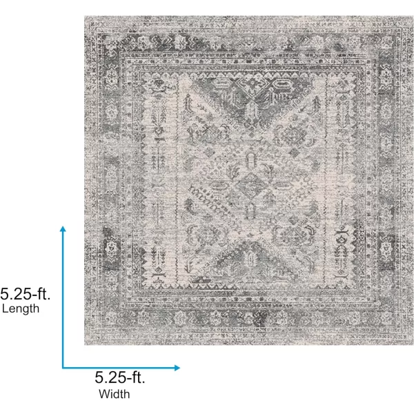 Artistic Weavers Desta Vintage Oriental Area Rug67 SquareBlueWhite53 Square Charcoal