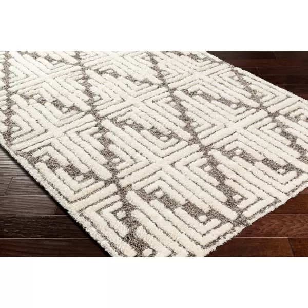 Artistic Weavers Florida Moroccan Shag Area Rug 53 x 7 CharcoalCharcoal 53 x 7