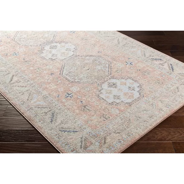 Artistic Weavers Gemina Area Rug 53 x 73 BlushBeige53 x 73 Blush  Beige