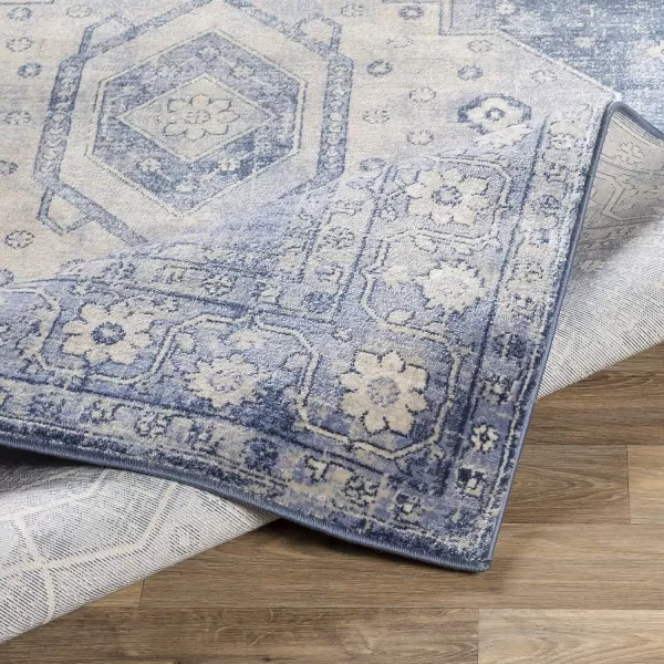 Artistic Weavers Irja Area Rug 710 x 102 Tan2 x 211 Blue