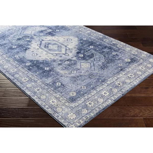 Artistic Weavers Irja Area Rug 710 x 102 Tan2 x 211 Blue