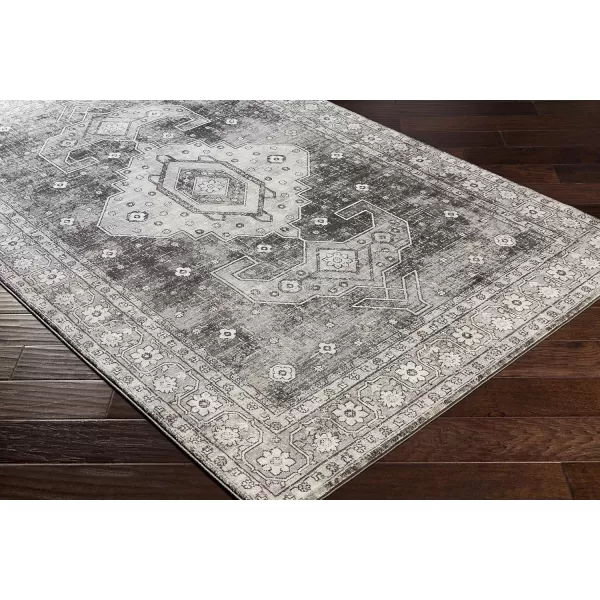 Artistic Weavers Irja Area Rug 710 x 102 Tan2 x 211 Charcoal