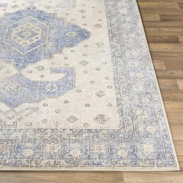 Artistic Weavers Irja Area Rug 710 x 102 Tan67 x 9 Blue