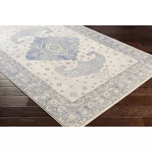 Artistic Weavers Irja Area Rug 710 x 102 Tan67 x 9 Blue