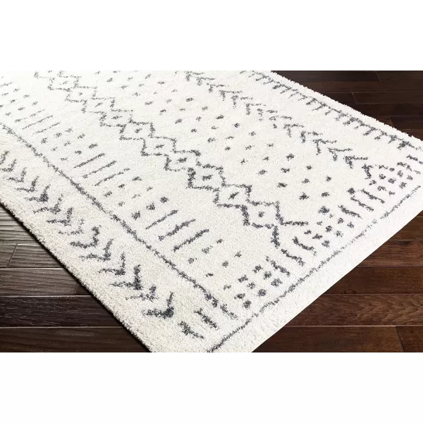 Artistic Weavers Janeka Area Rug 53 x 73 White2 x 3 White