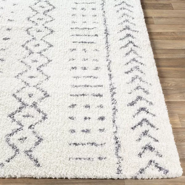 Artistic Weavers Janeka Area Rug 53 x 73 White2 x 3 White