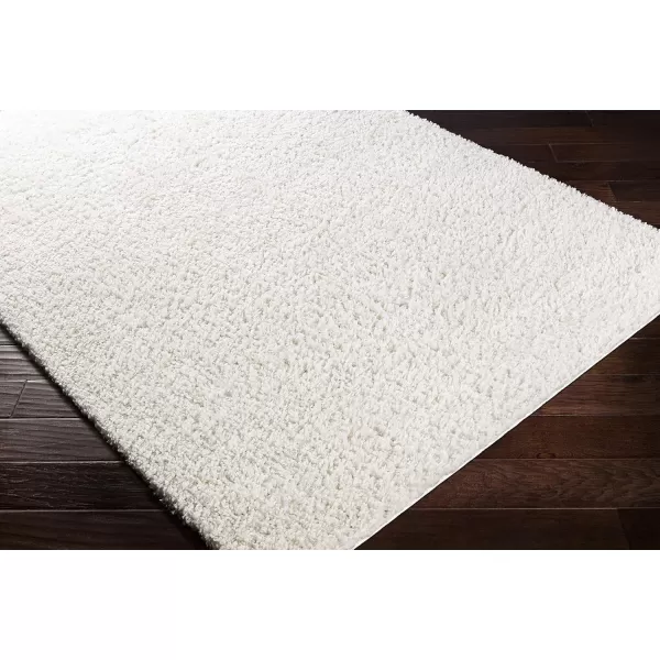 Artistic Weavers Kiana Area Rug 5 ft 3 in x 7 ft 3 in WhiteWhite 5 ft 3 in x 7 ft 3 in