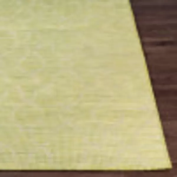 Artistic Weavers Lasma Outdoor Traditional Area Rug 51 x 7 Green26 x 4 Green