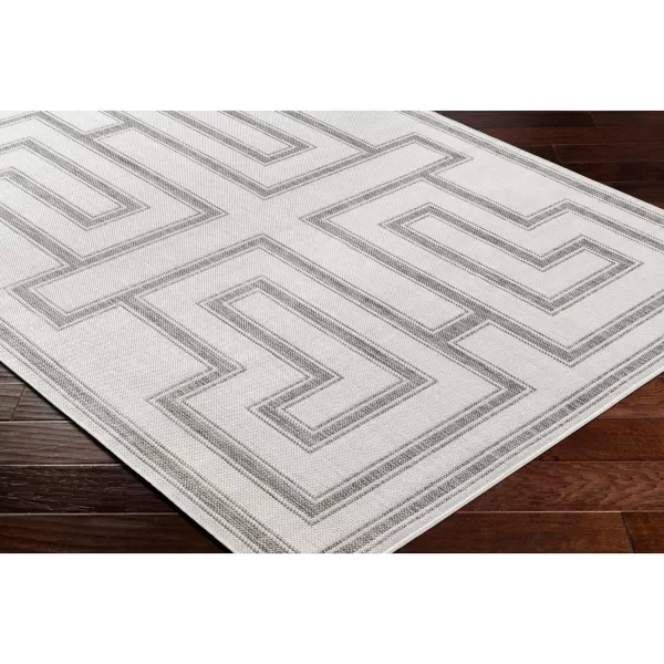 Artistic Weavers Long Beach Area Rug 53 x 7 Light GrayArtistic Weavers Long Beach Area Rug 53 x 7 Light Gray