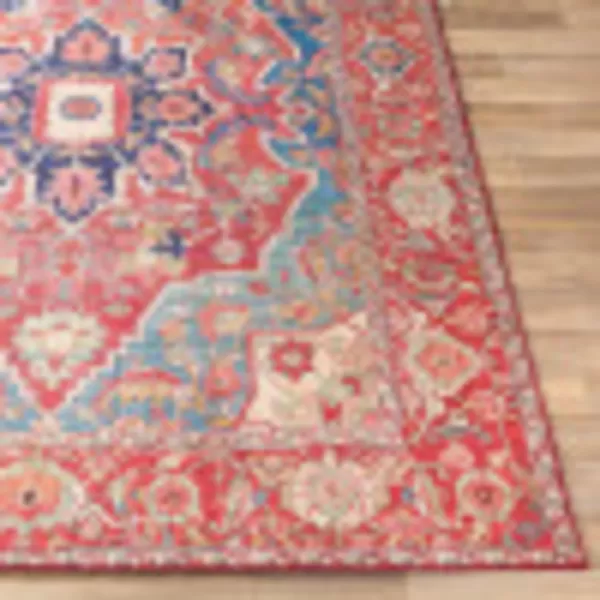 Artistic Weavers Lyyti Area Rug 5 x 76 5 ft x 7 ft 6 in Bright RedBlueBright RedBlue 2 ft 3 in x 3 ft 9 in