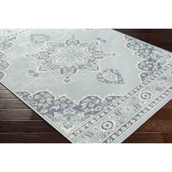 Artistic Weavers Maritza Medallion IndoorOutdoor Area Rug 53 x 77 BlueArtistic Weavers Maritza Medallion IndoorOutdoor Area Rug 53 x 77 Blue