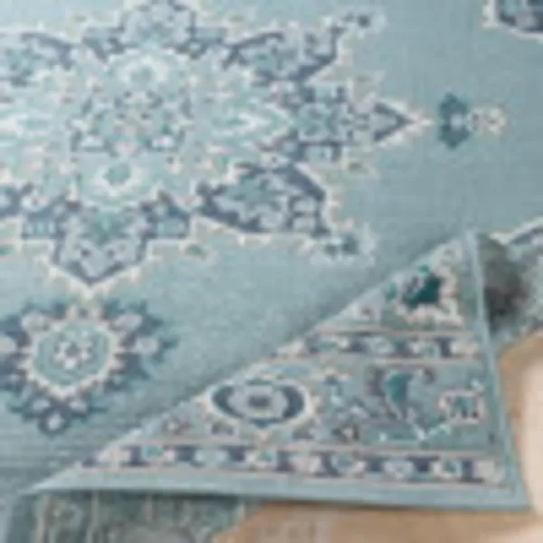 Artistic Weavers Maritza Oriental Outdoor Area Rug 53 x 77 BlackSeafoam25 x 45 Aqua