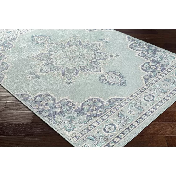 Artistic Weavers Maritza Oriental Outdoor Area Rug 53 x 77 BlackSeafoam810 Round Blue