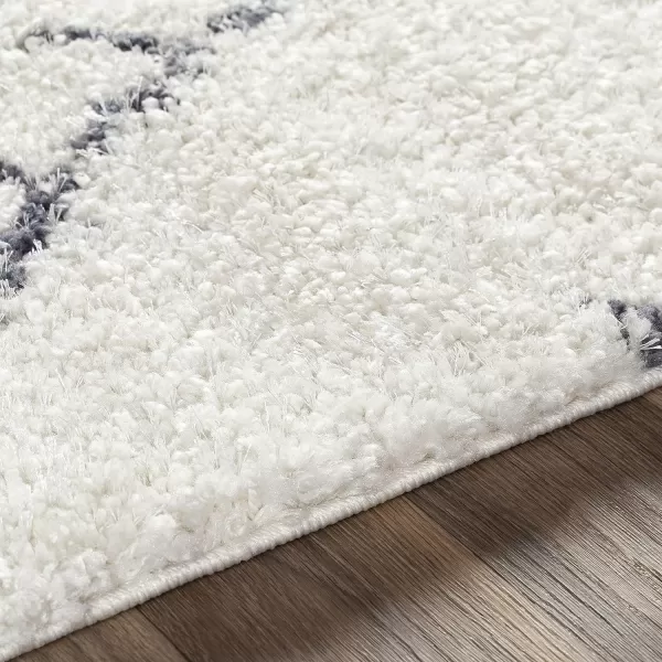 Artistic Weavers Milena Area Rug 53 x 73 White2 x 3 White