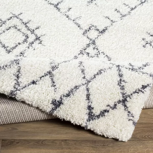 Artistic Weavers Milena Area Rug 53 x 73 White2 x 3 White