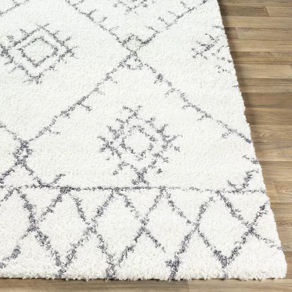 Artistic Weavers Milena Area Rug 53 x 73 White2 x 3 White