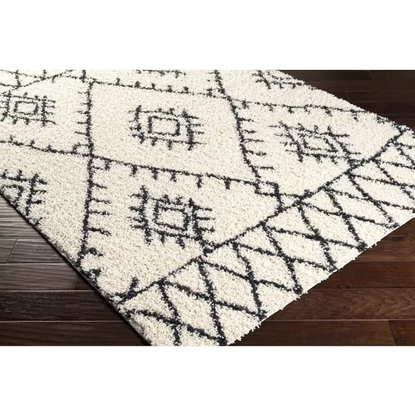 Artistic Weavers Moroccan Soft Ceci Shag Area Rug 53 x 7 CreamCharcoal27 x 73 CreamCharcoal