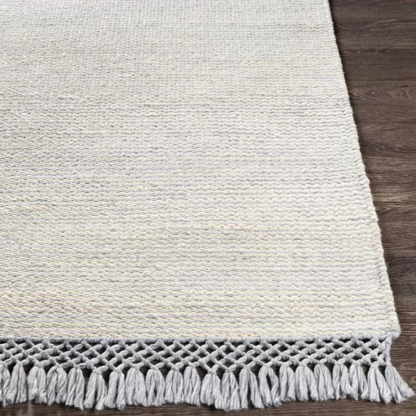 Artistic Weavers Ondine Natural Fiber Woven Area Rug 8 x 10 White2 x 3 Pale Blue