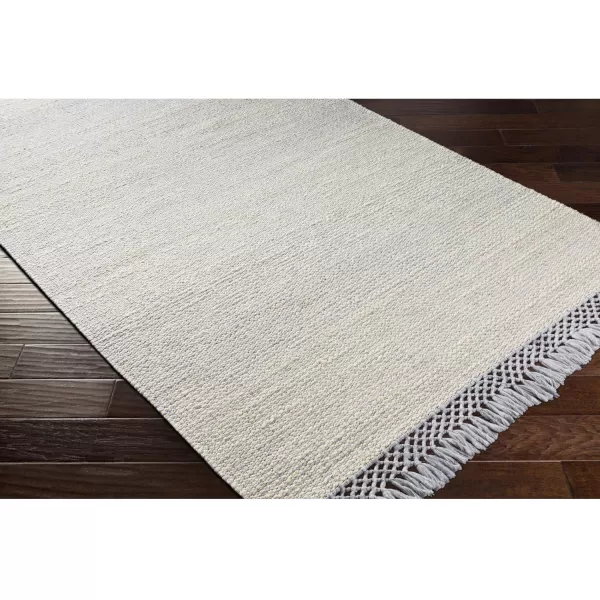 Artistic Weavers Ondine Natural Fiber Woven Area Rug 8 x 10 White2 x 3 Pale Blue