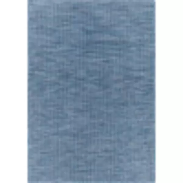 Artistic Weavers Oswin Outdoor Traditional Area Rug 51 x 7 Blue26 x 4 Blue