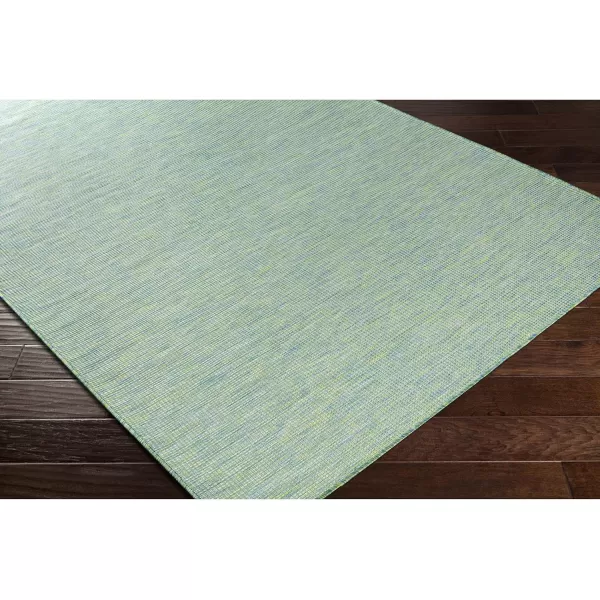 Artistic Weavers Oswin Outdoor Traditional Area Rug 51 x 7 Blue78 x 10 Green