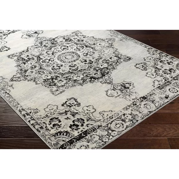 Artistic Weavers Perla Area Rug 53 x 73 Silver Grey2 x 3 Black