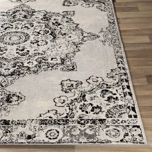 Artistic Weavers Perla Area Rug 53 x 73 Silver Grey2 x 3 Black