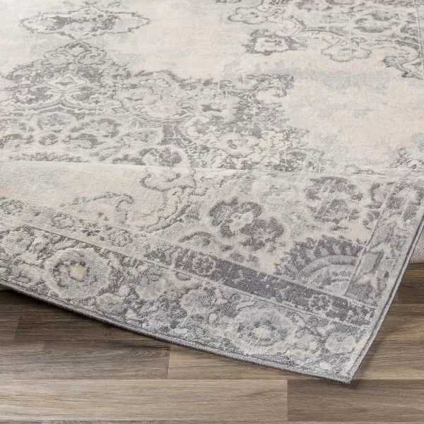 Artistic Weavers Perla Area Rug 53 x 73 Silver Grey2 x 3 Silver Grey