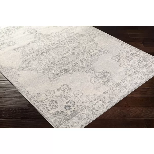 Artistic Weavers Perla Area Rug 53 x 73 Silver Grey2 x 3 Silver Grey