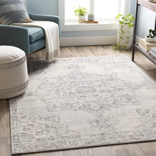 Artistic Weavers Perla Area Rug 53 x 73 Silver Grey67 x 96 Silver Grey