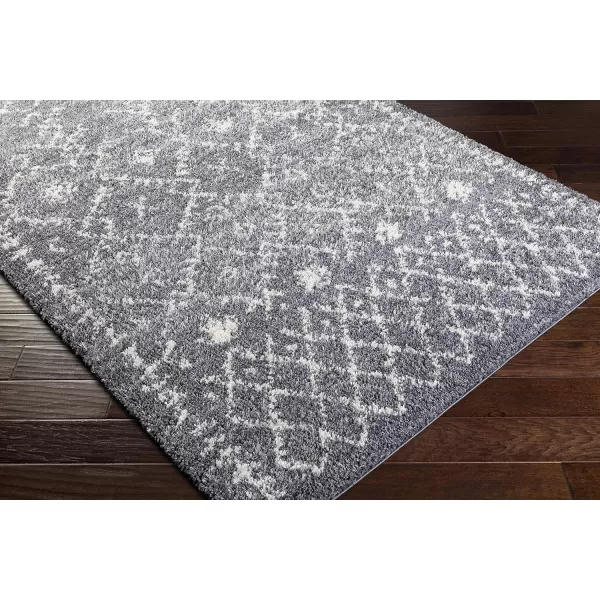 Artistic Weavers Pola Area Rug 53 x 73 White2 x 3 Charcoal