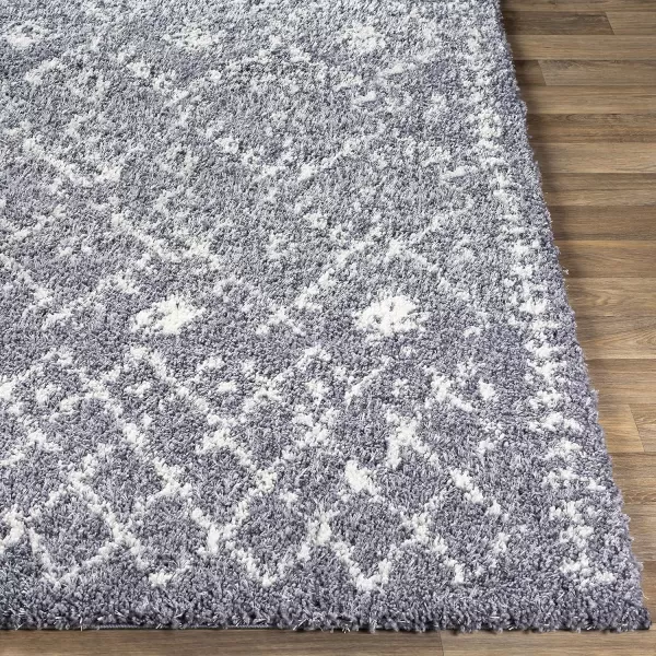 Artistic Weavers Pola Area Rug 53 x 73 White2 x 3 Charcoal