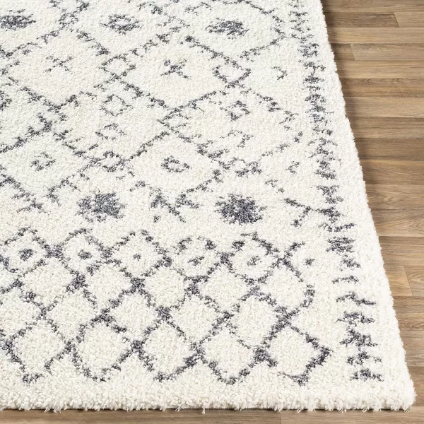 Artistic Weavers Pola Area Rug 53 x 73 White2 x 3 White