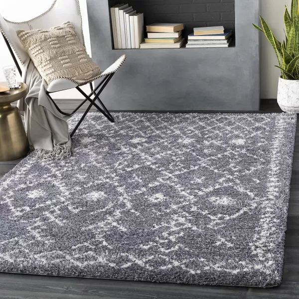 Artistic Weavers Pola Area Rug 53 x 73 White710 x 103 Charcoal