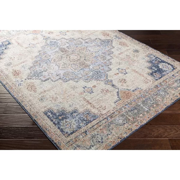 Artistic Weavers Rivka Area Rug 710 x 10 Pale BlueGray53 x 73 Pale Blue  Gray