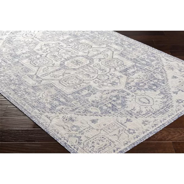 Artistic Weavers Sawyer Vintage Medallion Outdoor Area Rug 53 x 7 BlueArtistic Weavers Sawyer Vintage Medallion Outdoor Area Rug 53 x 7 Blue