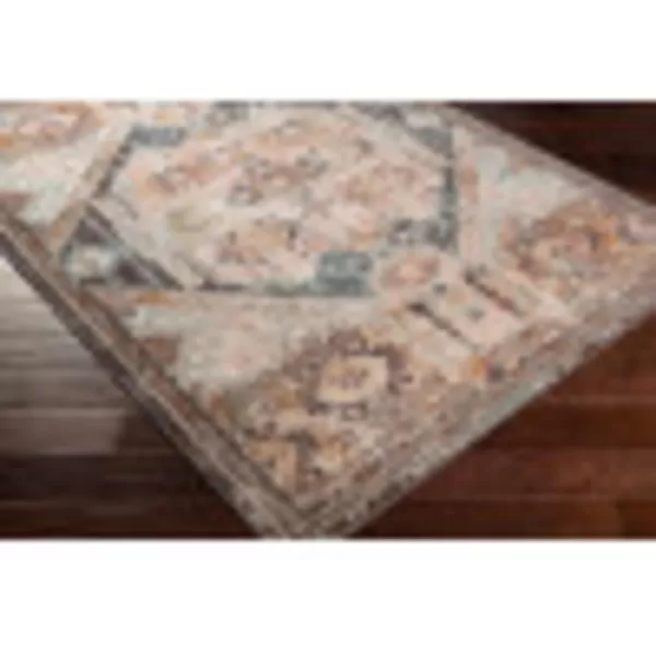 Artistic Weavers Shami AquaBurnt Orange Area Rug 710 x 1037 ft 10 in x 10 ft 3 in Charcoal