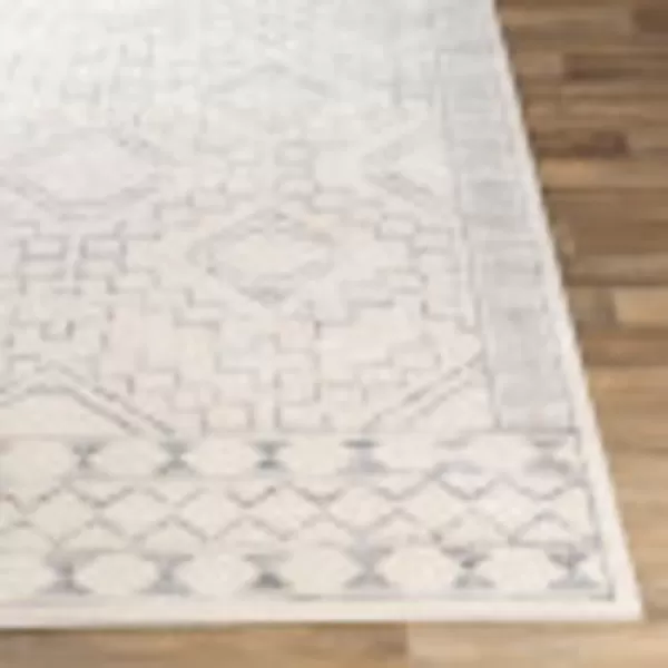 Artistic Weavers Sonia Area Rug53 x 71White9 x 123 White
