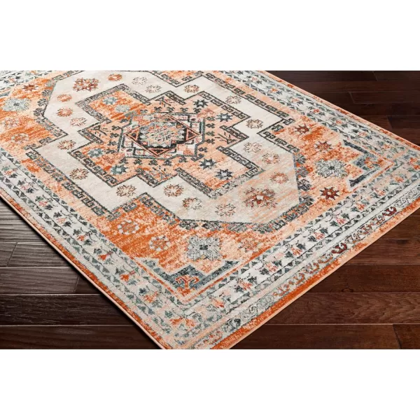 Artistic Weavers Tevazu Vintage Area Rug53 x 7Light Grey53 x 7