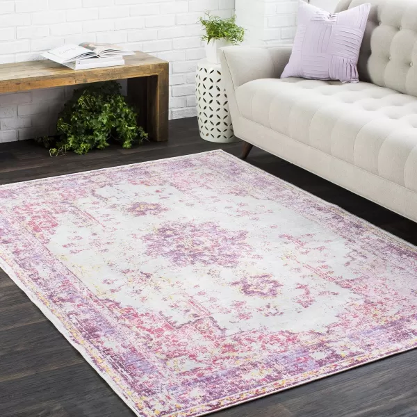 Emilio Pink and Blue Updated Traditional Area Rug 2 x 32 x 211 Bright Pink