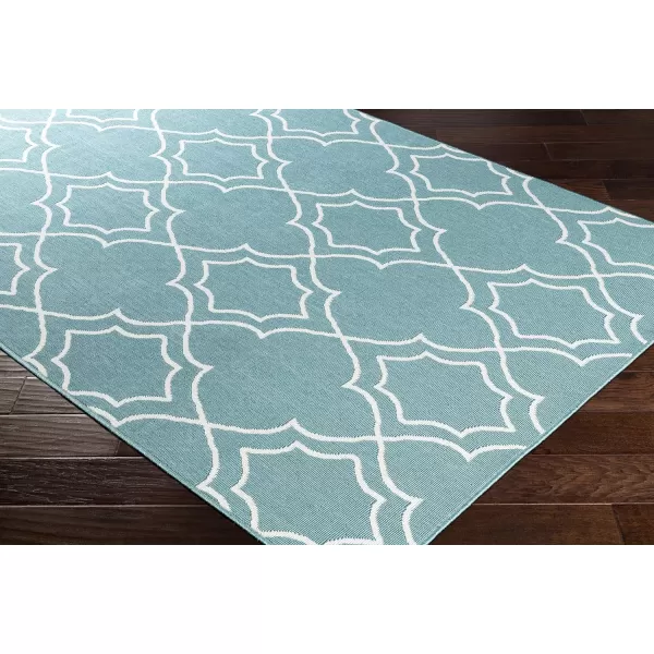 Georgia Beige Indoor  Outdoor Area Rug 73 Square3 ft 7 in x 5 ft 7 in TealWhite