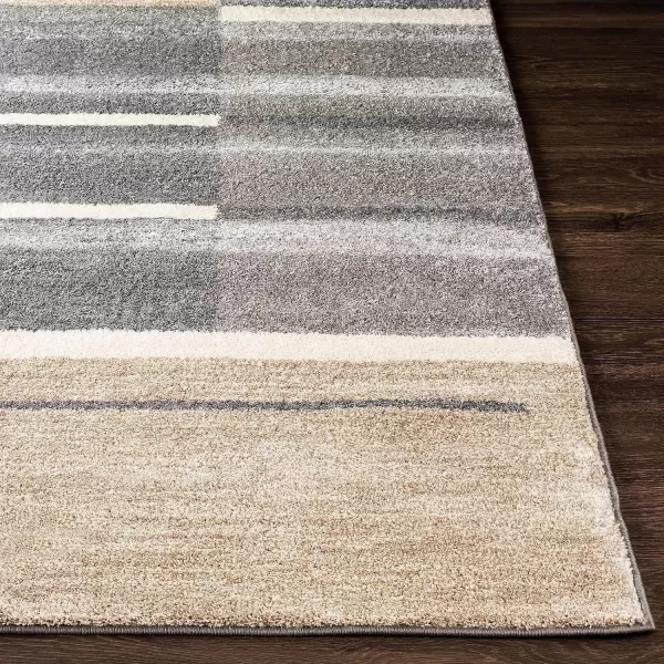 Jeanine Medium Gray Shag Area Rug 26 x 826 x 8 Gray Neutral