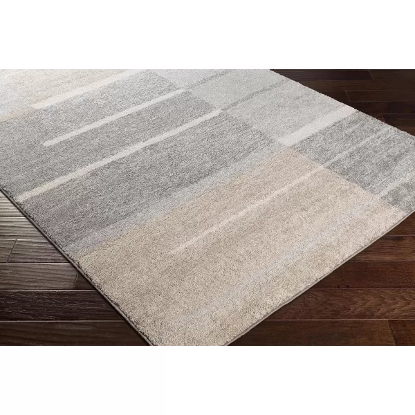 Jeanine Medium Gray Shag Area Rug 26 x 826 x 8 Gray Neutral