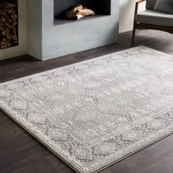 Maggie Gray Traditional Area Rug 27 x 762 x 211 Medium Gray