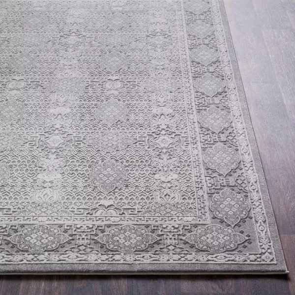 Maggie Gray Traditional Area Rug 27 x 762 x 211 Medium Gray