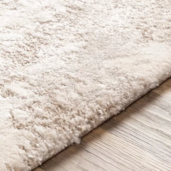 Pendley Area Rug2 x 3 Tan  Ivory