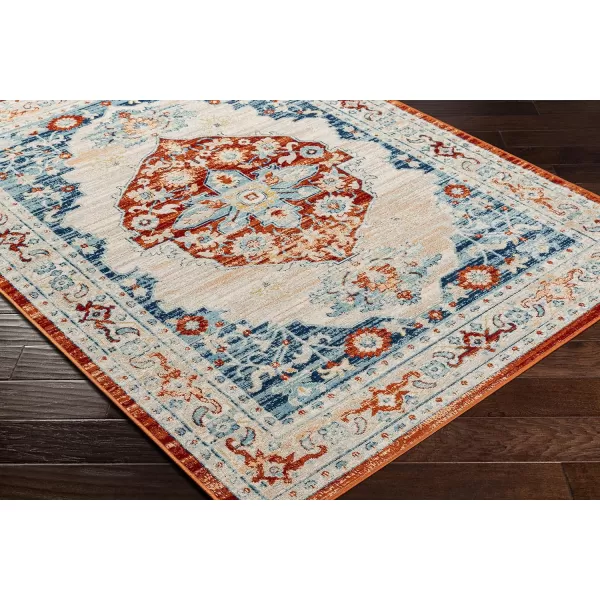 Redondo Beach Outdoor Boho Area Rug53 x 7SlateCoral53 x 7 Burnt OrangeDenim