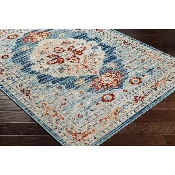 Redondo Beach Outdoor Boho Area Rug53 x 7SlateCoral53 x 7 Burnt OrangeLight Blue