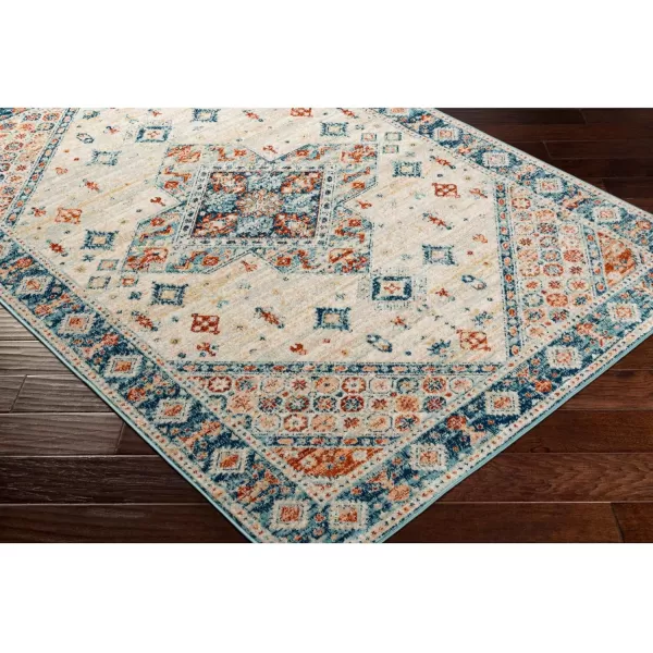 Redondo Beach Outdoor Boho Area Rug53 x 7SlateCoral53 x 7 Light Grey  Blue