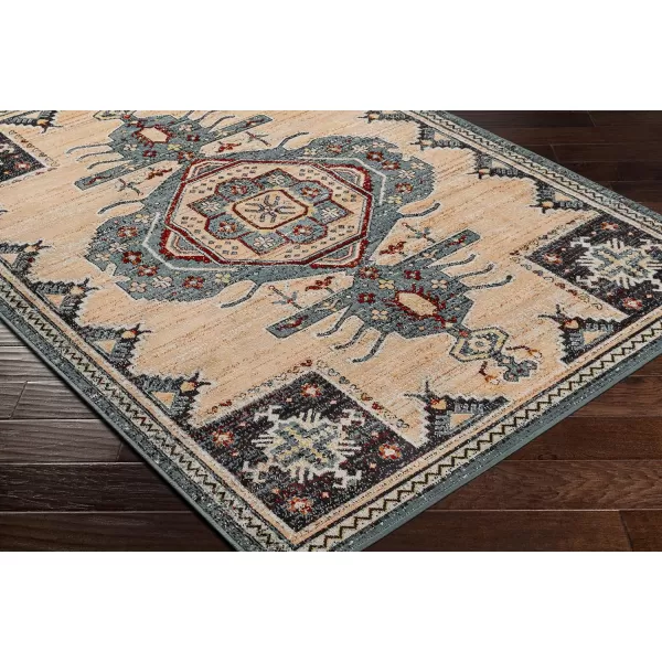 Redondo Beach Outdoor Boho Area Rug53 x 7SlateCoral67 x 9 SlateCoral